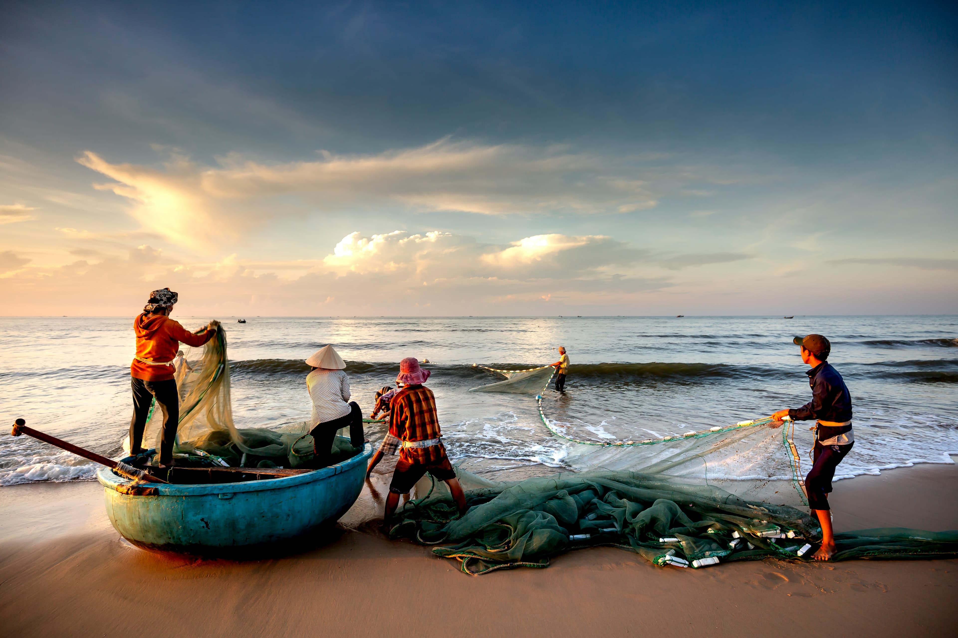 Zanetuno